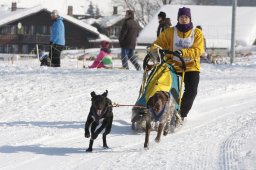 Lenk 2012 SM